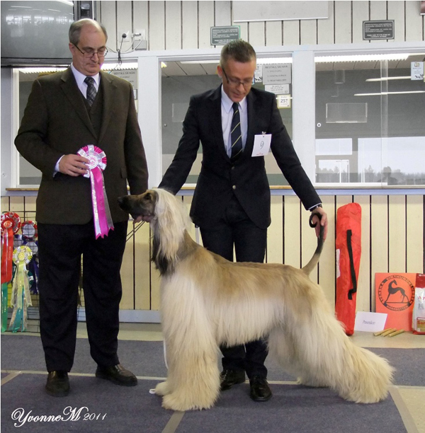 Ägare Jan Törnblom, Upplands-Väsby