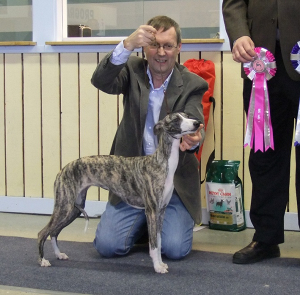 Ägare Svanhild Ingvarsson & Anna-Lisa Pekkari, Ursviken