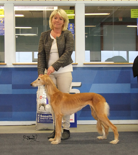 BIS-2 Ch.Badavie Cedala