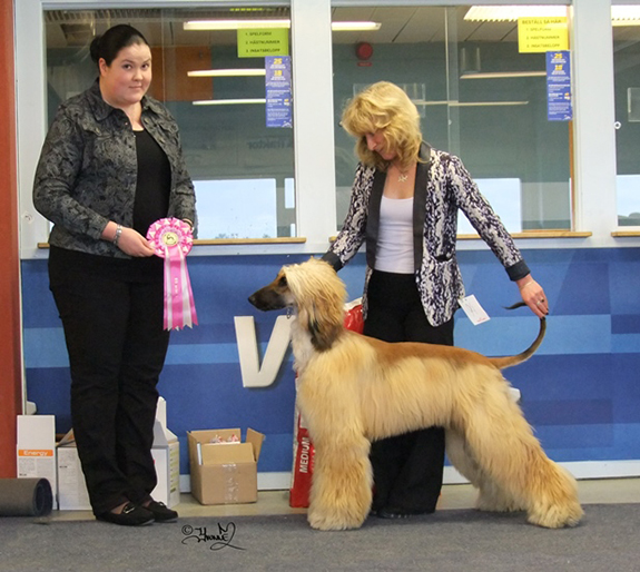 BIS JUNIOR Thuja Dress To Impress