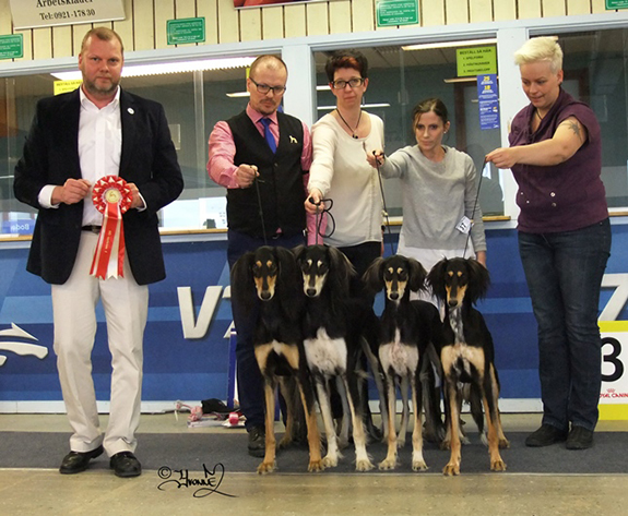 BIS-2 UPPFÖDARGRUPP kennel Carry On