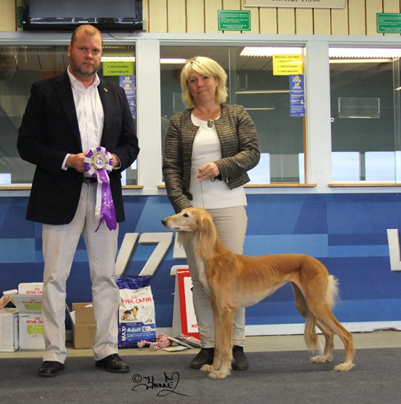 BIS-2 VETERAN Air - Exhibit Janice Joplin