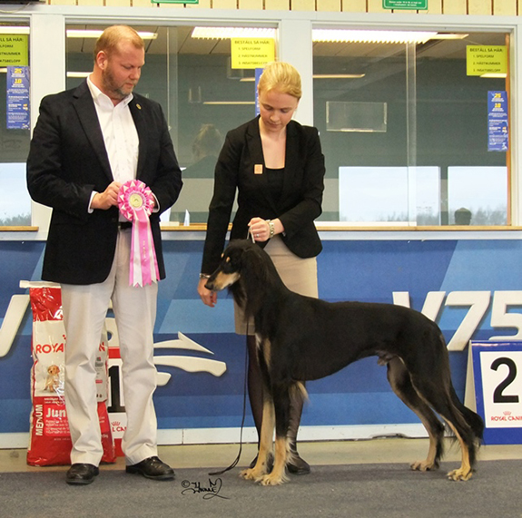 BIS-2 UNGHUND Hookoplan Hello Kitty