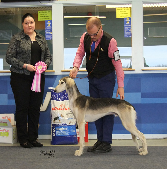 BIS-2 VALP Muslis Dusty