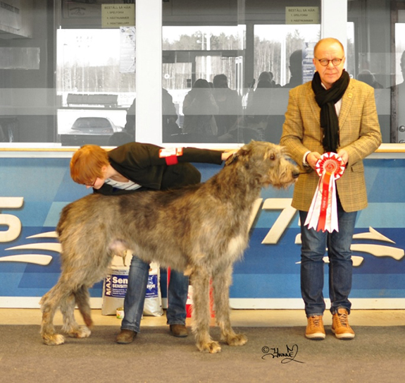 BEST IN SHOW Ch.Piercetown Canter Bury Bell