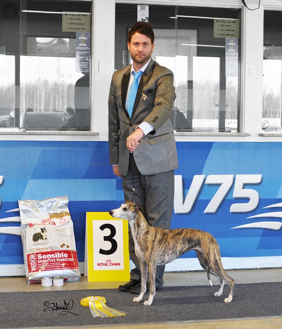 BIS-3 Carry On Stranger In Moscow