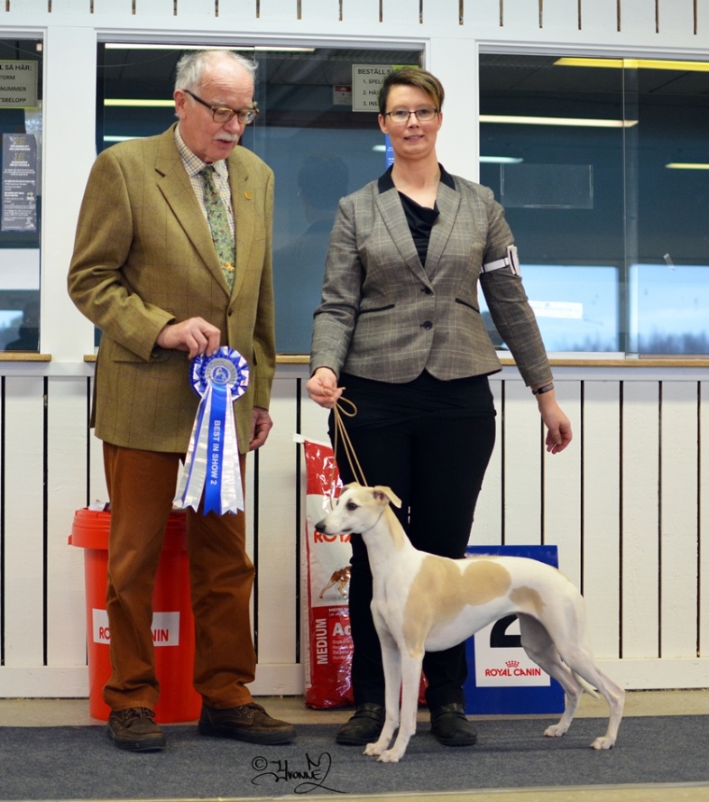 Best in Show 2 Medali Playing One More Time