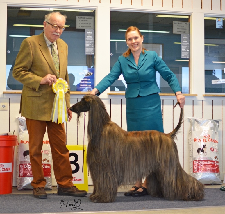 Best in Show 3 Ch.Celestian I Want It All
