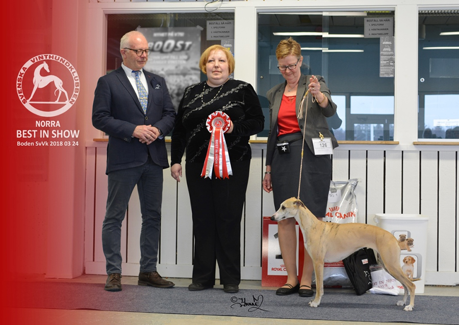 BEST IN SHOW Zaraque´s Keen On Crown´n Jewels