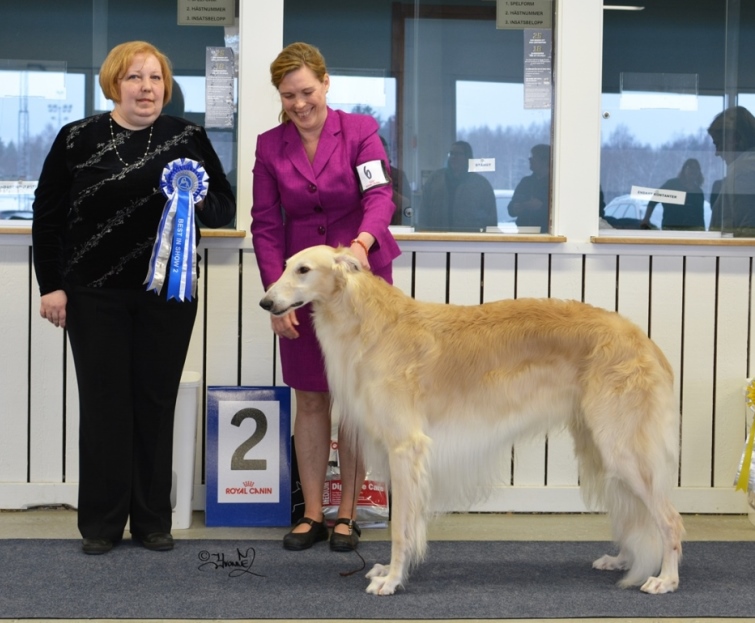 Best in Show 2 Ch.Borscana Fortran