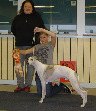 BIS BARN MED HUND Louise Nyström, 9 år Whippet "Saina" 