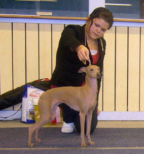 Ägare Hanna Ukura, Finland