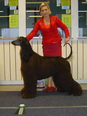 Ägare Ljungberg Ulrica, Råneå