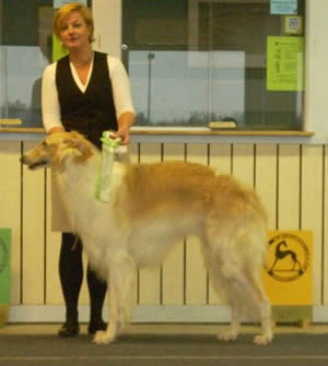 Ägare Sjöberg Roger, Södra Sunderbyn