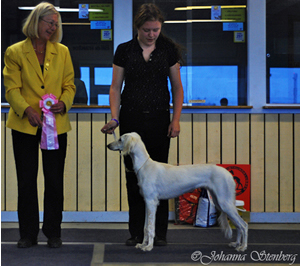 Ägare Ninni Österholm, Järfälla