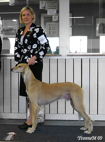 BIS-R INT UCH NORD UCH DK UCH EE CH Ru CH BaltW-09 Al Wathba Thamir Abdul Haqq