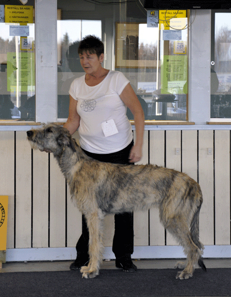 BIS VALP Ravenponds Royal Rapsody