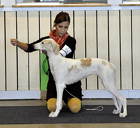 BIS-2 VALP Badavie Ocean Wind