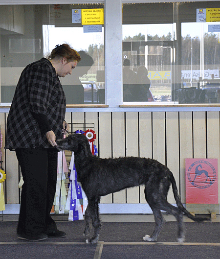 BIS-4 VALP Justso Lingon Berry