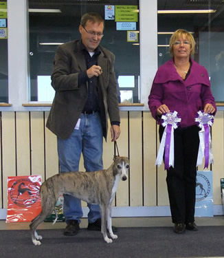 Ägare Pekkari Anna-Lisa, Skellefteå