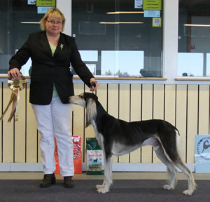 Ägare Hasa Sari, Luleå