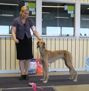 Ägare Niemi Ann-Sofie & Ljungberg Ulrika, Råneå/Haparanda