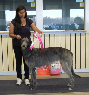Ägare Berglund Ulf, Almkvist Madelene, Karlsborgsverken