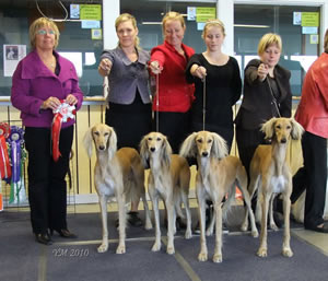 BIS UPPFÖDARGRUPP Al Wathba