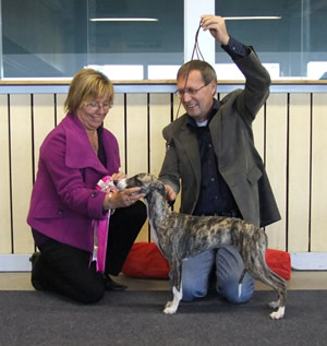 Ägare Pekkari Anna-Lisa, Ingvarsson Svanhild, Skellefteå