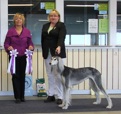 Ägare Hasa Sari, Luleå