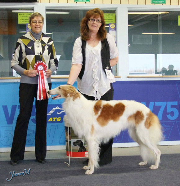 BEST IN SHOW Ch Pomzoi Peasblossom