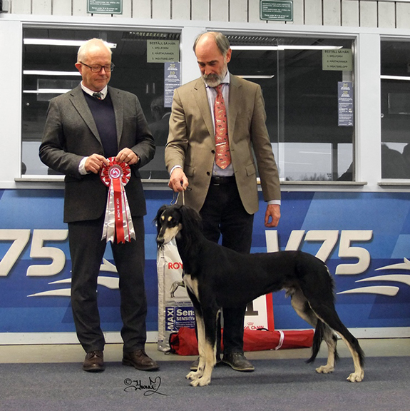 BEST IN SHOW Ch.Khalil's Baseem Bikr