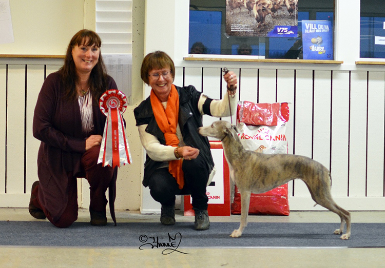 BEST IN SHOW Ch.Hjortronblommans Lucky Day