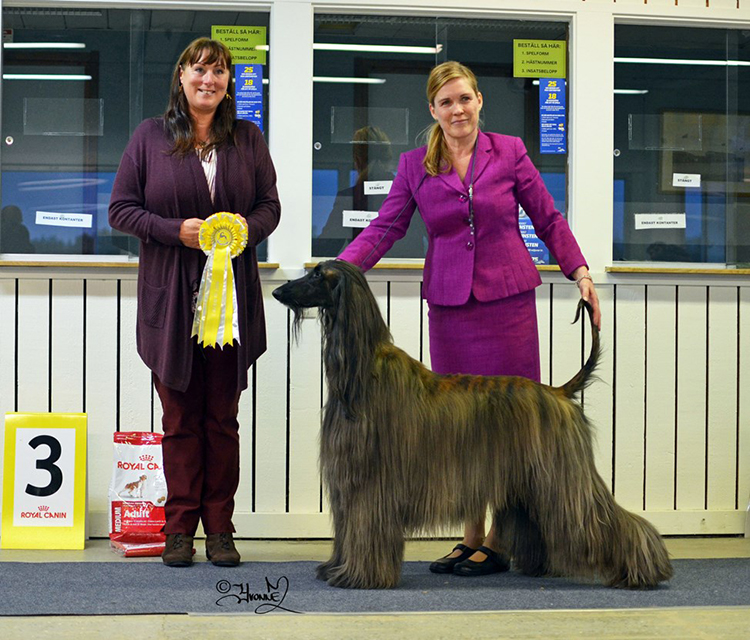 Best in Show 3 Ch.Celestian I Want It All