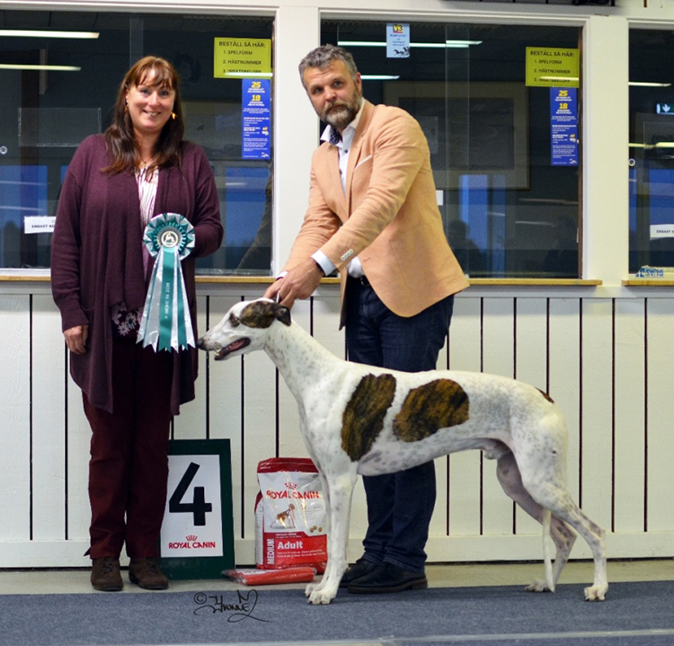 Best In show 4 Epic Narcissistic