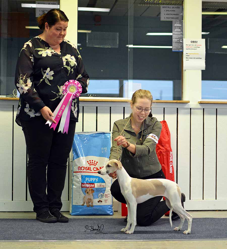 BIS BABYVALP Aaniston Drastic Fantastic