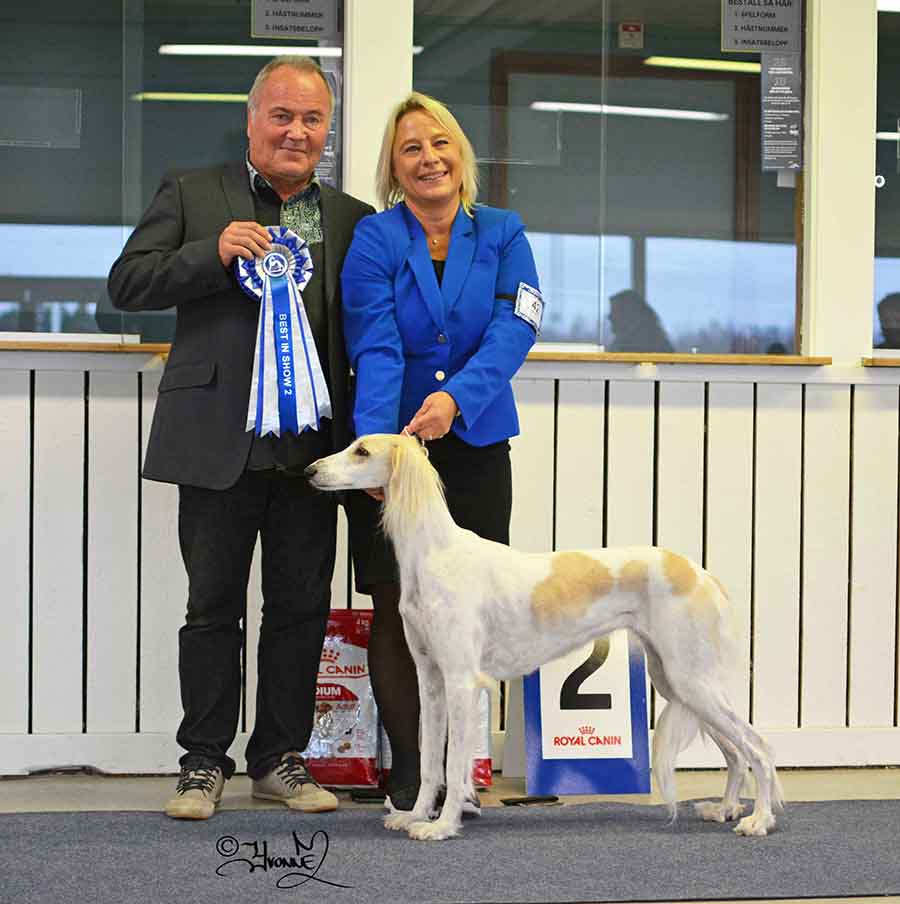 BIS-2 NORD UCH Sadaqa Moonirah Lulu