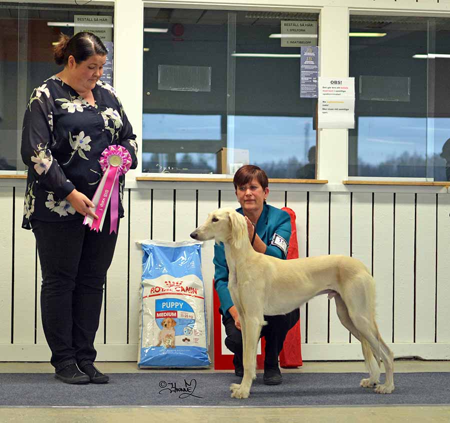 BIS VALP Majo’s Real Miracle