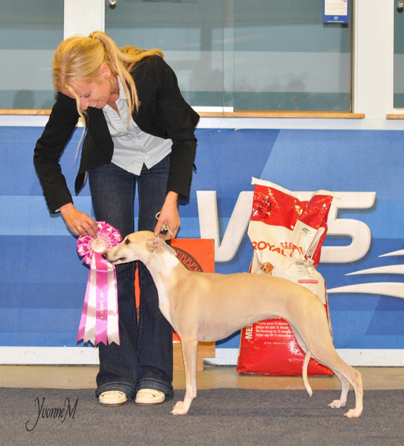 BIS JUNIOR Sobers Aniston Nellwyn