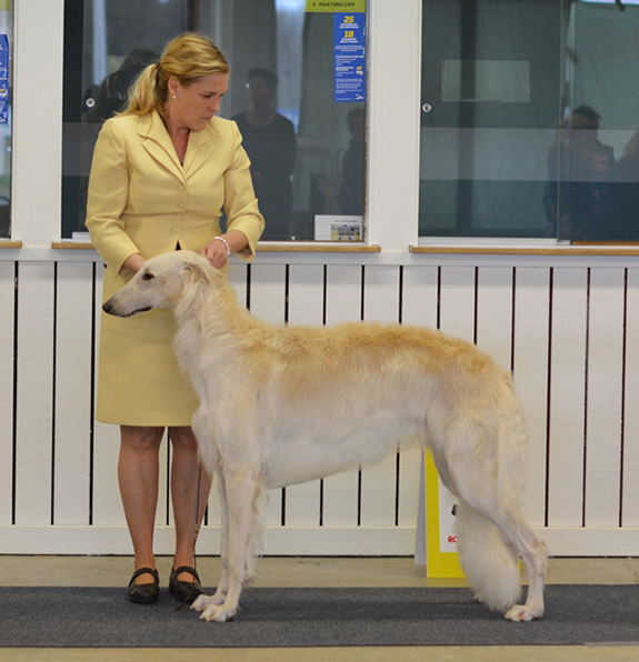 BIS JUNIOR Borscana Fortran