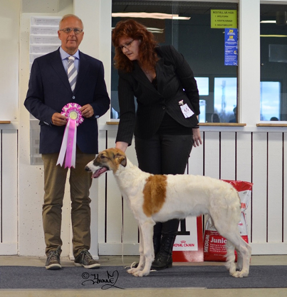 BIS BABYVALP Yegorov Zinfandel At Pomzoi