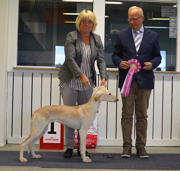 BIS VALP Badavie Acona