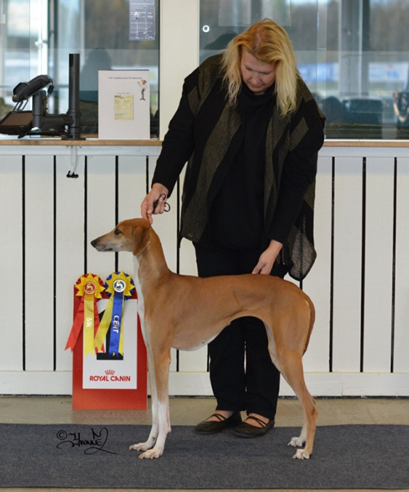 Bt1 Icouten de Garde-Eepe BIR