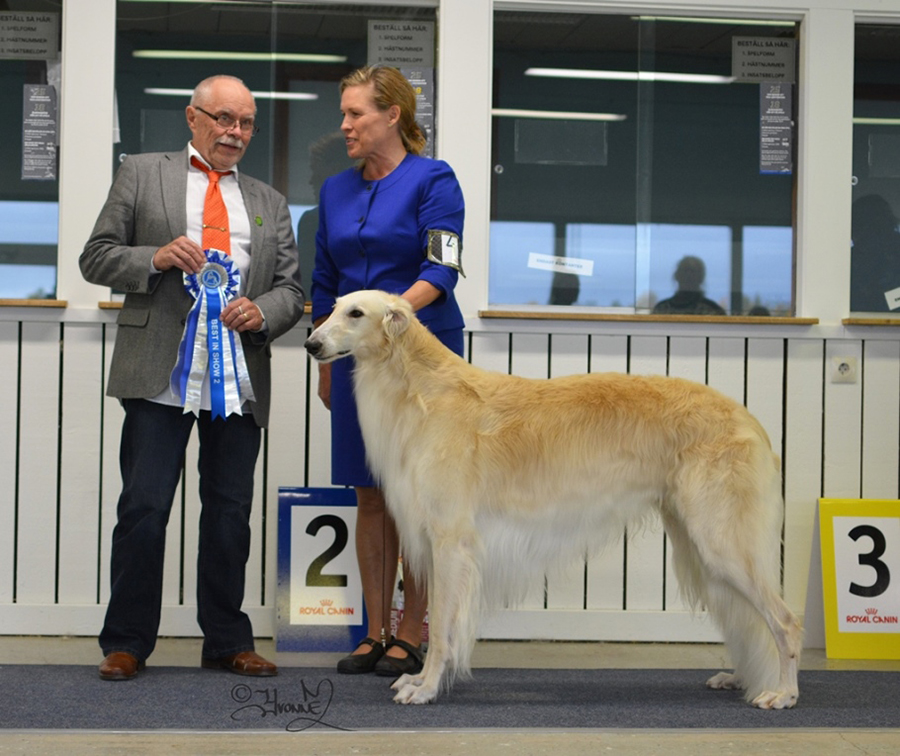 Best in Show 2 Ch.Borscana Fortran