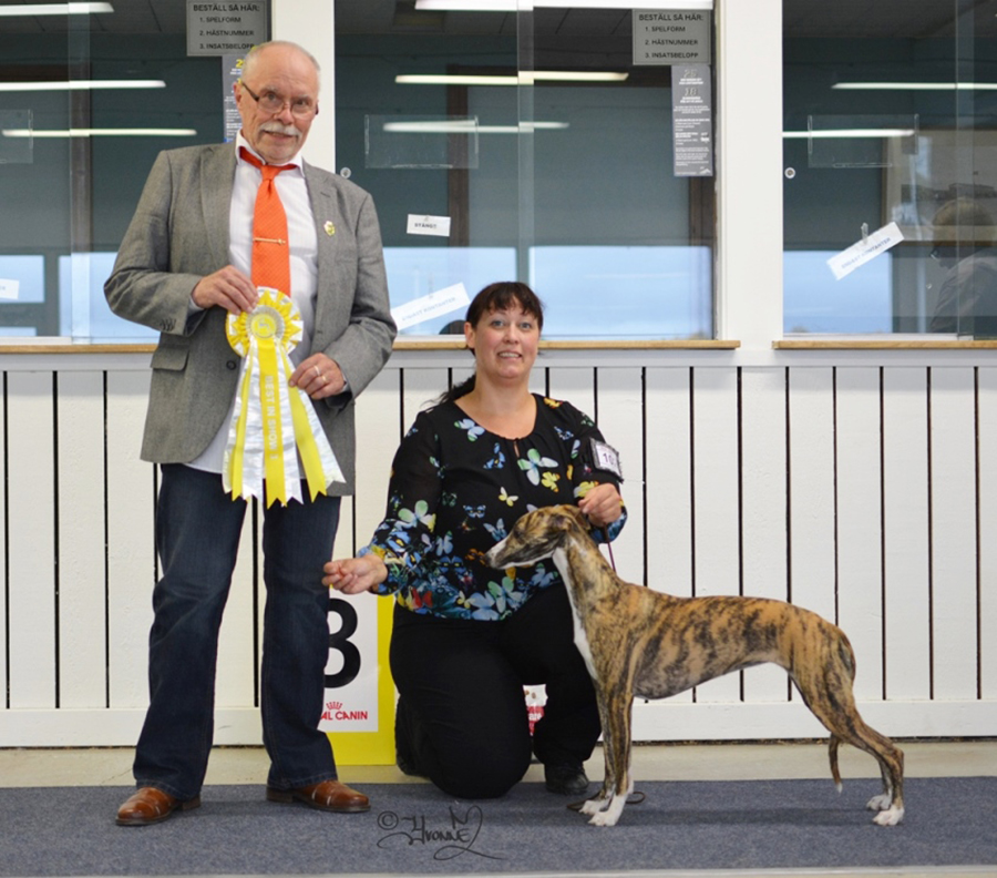 Best in Show 3 Bluefrost Charmy Evoleth  