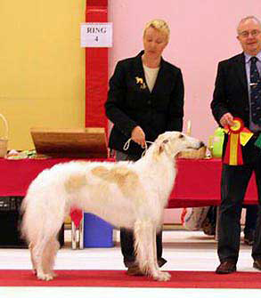 Äg: Cecilila Stener, Färila