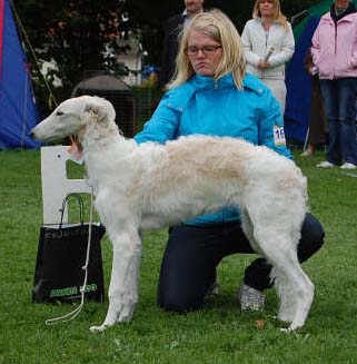 BIS-R BABYVALP Blisshound Miss Sixty