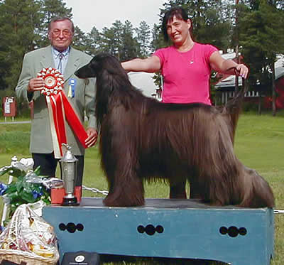 uppf & äg: Lena & Gunnar Johansson, Luleå