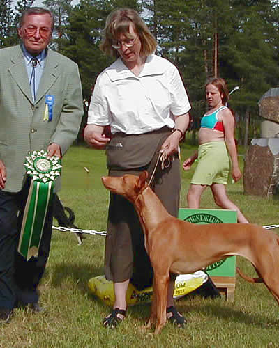 uppf & äg: Madelene & Sophie Lönn, Vallentuna