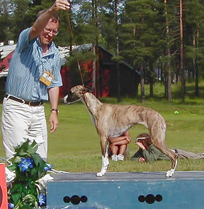 uppf: Anna-Lisa Pekkari, Skellefteå, äg: Svanhild & Mats-Owe Ingvarsson, Ursviken